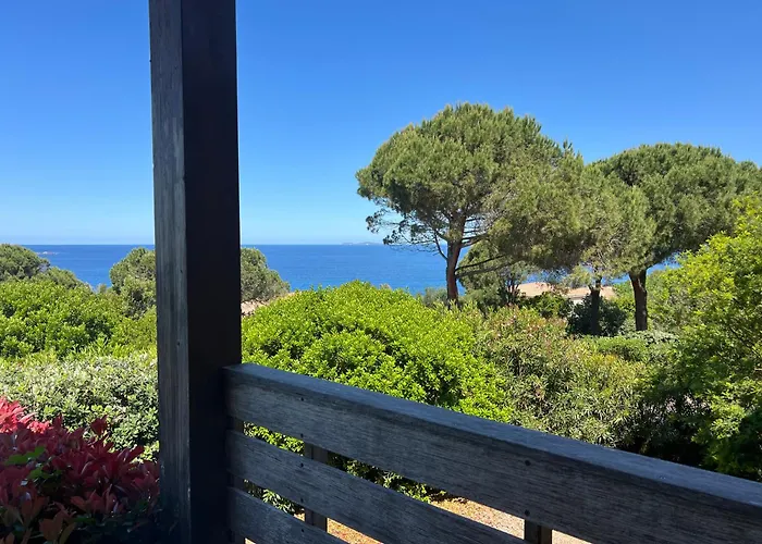 Costa Di Fiori * Coti-Chiavari (Corsica)